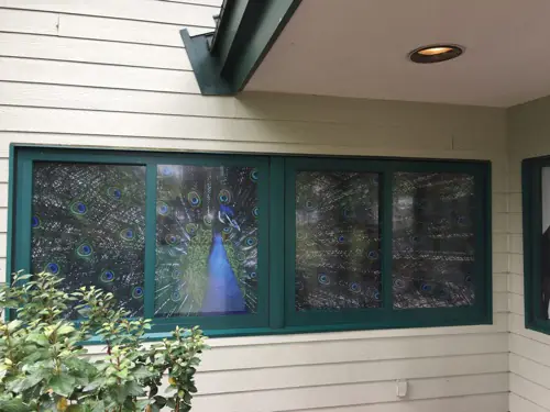 Perforated one-way window graphic applied to storefront glass (example 6)