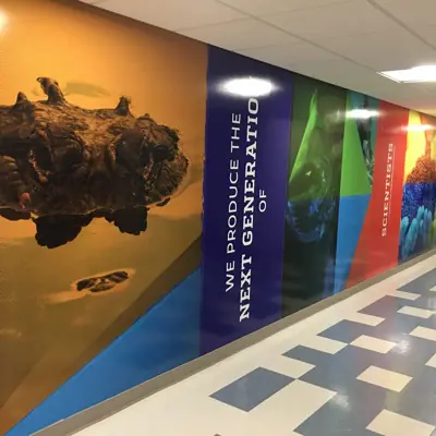 Printed wall mural covering an interior wall (example 12)